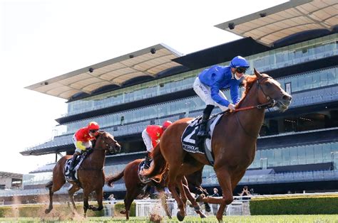 2022 Moir Stakes: Final Field, Barriers and Market.